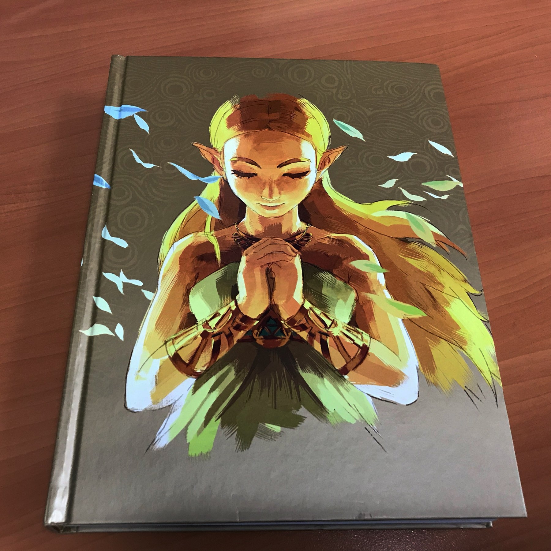 Zelda book